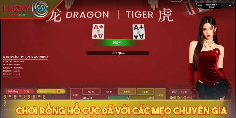 Chơi Rồng Hổ cực đã với các mẹo chuyên gia