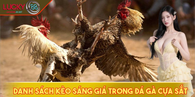 Đá Gà Cựa Sắt - Khám Phá Những Pha Hạ Đòn Chớp Nhoáng 3 Danh sách kèo sáng giá trong đá gà cựa sắt