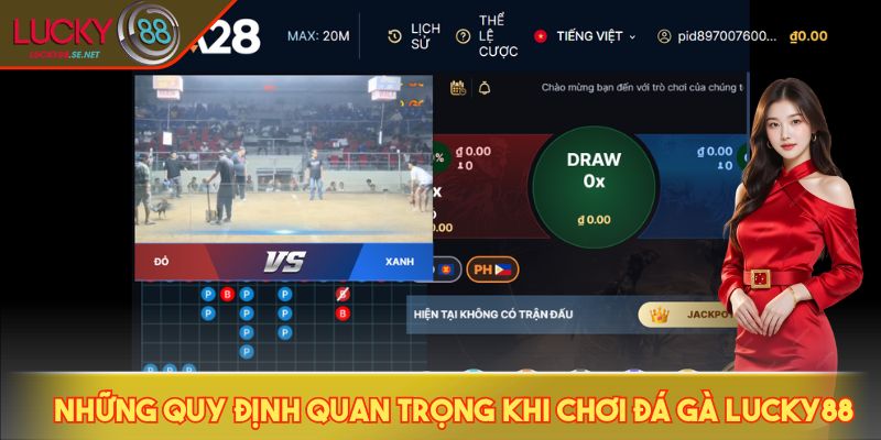 Những quy định quan trọng khi chơi đá gà LUCKY88
