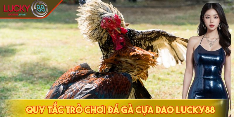 Quy tắc trò chơi đá gà cựa dao LUCKY88