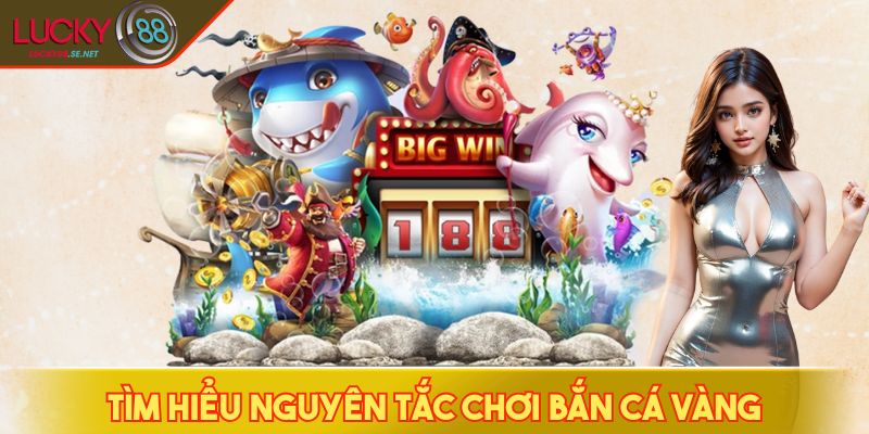 Bắn Cá Vàng - Săn Kho Báu Đại Dương Chỉ Trong Vài Phút 3 Tìm hiểu nguyên tắc chơi bắn cá vàng